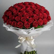 Букет 101 Красная роза Блэк Мэджик в Горки-10