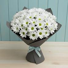 Букет цветов из:  Хризантемы #REPLACE_PRED# Горки-10