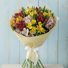 Букет цветов из:  Альстромерии #REPLACE_PRED# Горки-10