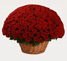 Премиум букет из: Розы в Горки-10